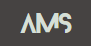 Logo-ams